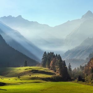 沏茶敬茶纯音乐