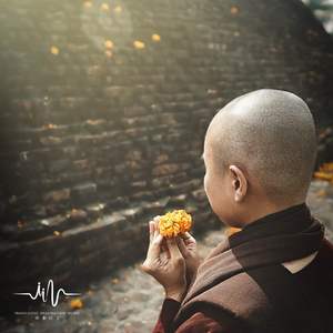 夏日恋曲 (采耳养生)