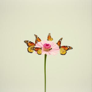 맞는 사람들과 (Find Your People)