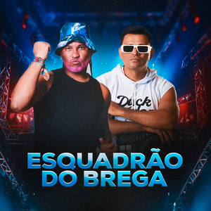 Esquadrão do Brega