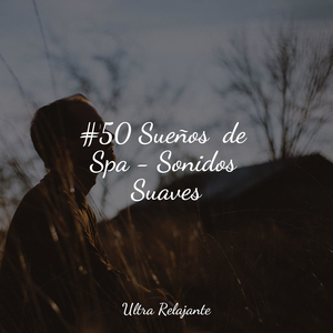 Brisa A Través De Las Edades