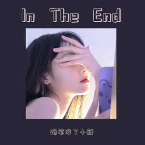 Linkin Park-ln The End（蜡笔没了小新 remix）