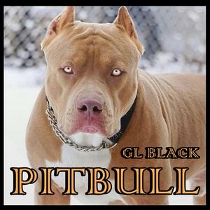 PITBULL