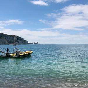 我喜欢你的内心活动