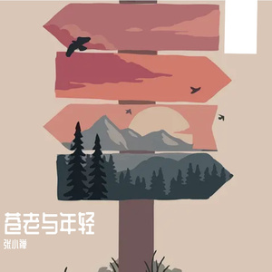 苍老与年轻 DEMO
