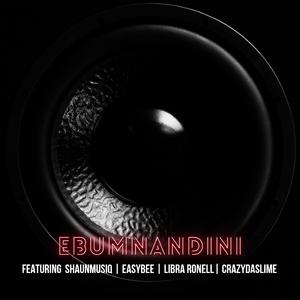 Ebumnandini (feat. ShaunMusiQ, Easybee, Libra Ronell & CrazyDaSlime)