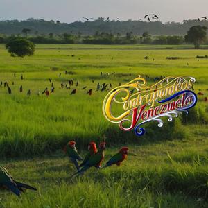 CONTRAPUNTEO HENRY FUENMAYOR vs EL GUERRERO DE GUAYANA (En vivo)