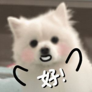 秋叶谜