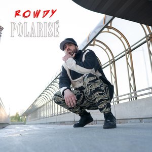 Polarisé