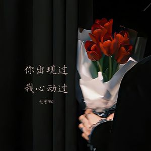 你出现过 我心动过