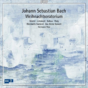 Weihnachts-Oratorium, BWV 248, Pt. 1: Pt. I: Aria. Grosser Herr, o starker Konig… (Bass)
