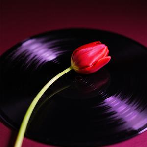 Buksan Mo (OPM Rock Cover)