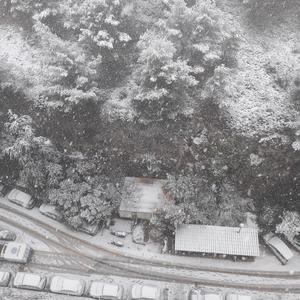 Dorénavant (From Now On)