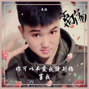 陈思诺-你可以不爱我请别伤害我-离殇~1（离殇 remix）