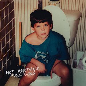 Not Another Punk Song