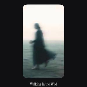 Walk In The Wild