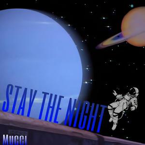 STAY THE NIGHT