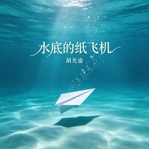 水底的纸飞机