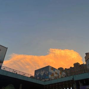 解药(新版)西瓜版