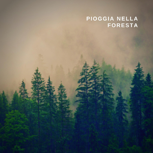 Pioggia Nella Foresta, Pt. 05