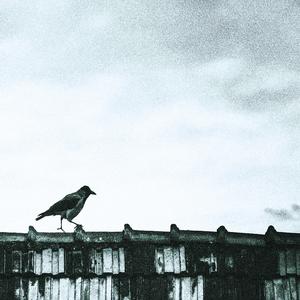 Back From The War (Live Acoustic)