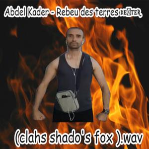 Rebeu des terres déter (clahs shado's fox)