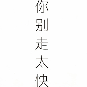你别走太快.mp3