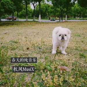 春日的清晨闻着青草香气在一片嫩绿中准备出游