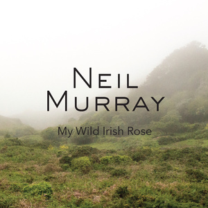 My Wild Irish Rose / The Rose of Killarney