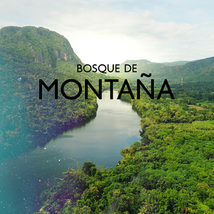 Belleza de la Naturaleza