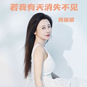 若我有天消失不见