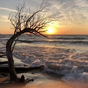 The Dance (Afro House )