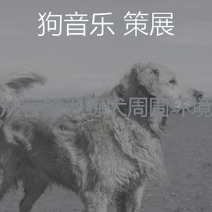 抚慰的小狗回忆