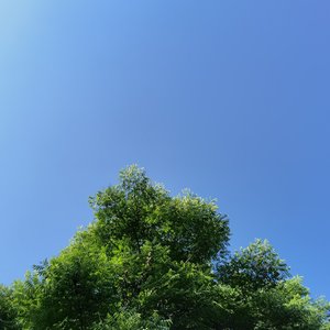 指环铭刻的光阴