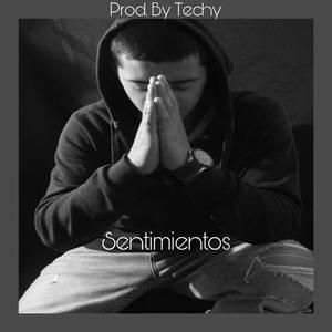 Sentimientos