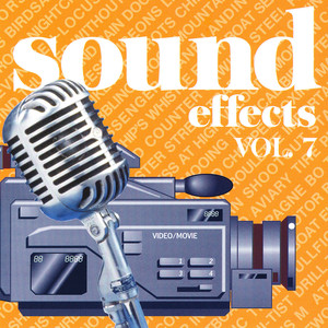 Laboratory Centrifugal Machine, Various Noises