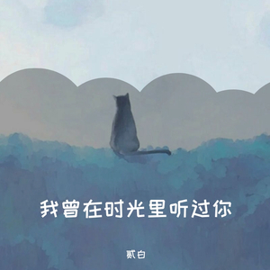 我曾在时光里听过你