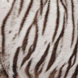 Situation (remastered version)