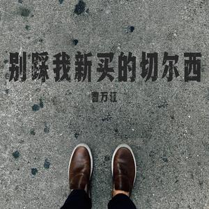 别踩我新买的切尔西