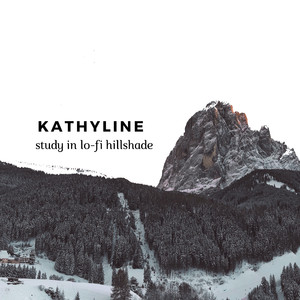 study in lo-fi hillshade