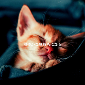 Hip Moods for Sydney Coffeehouses