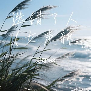 选错了人（女声新版）