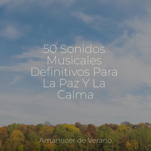 Fusionando prados de calma