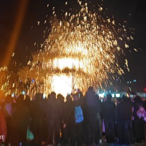 花与叶
