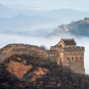 Moth（Tripped remix）