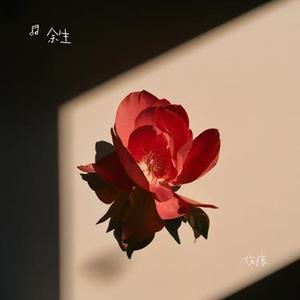 伤痕