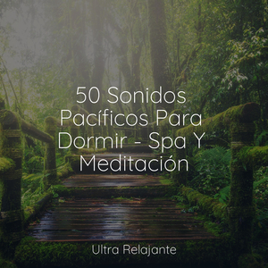 Deslizamientos De Hielo