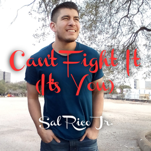 Can't Fight It (It's You)