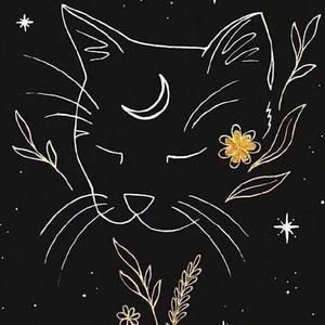 石头剪刀布（有点可爱）