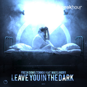 Leave You In The Dark (feat. Max Landry) (Radio Edit)